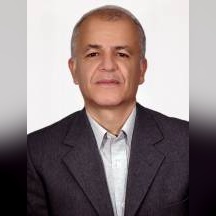 محمد مهدی برادرانی